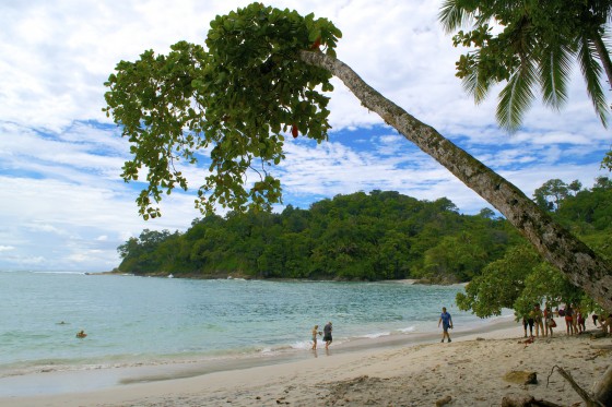 Paradise Found (but No Rana) – Manuel Antonio, Costa Rica – One Girl's 